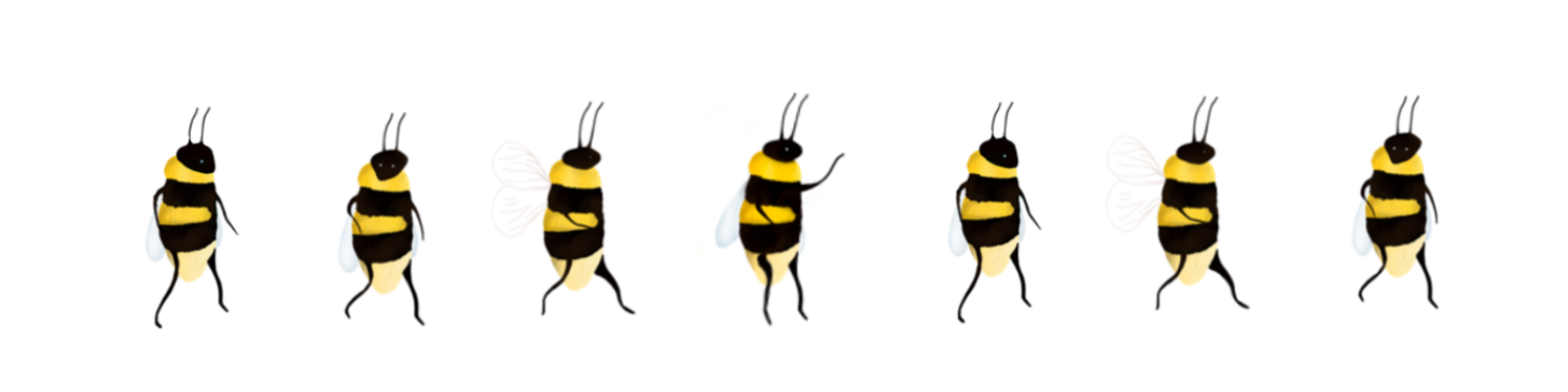 Check out our designs