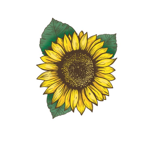 Sunflower Thumbnail